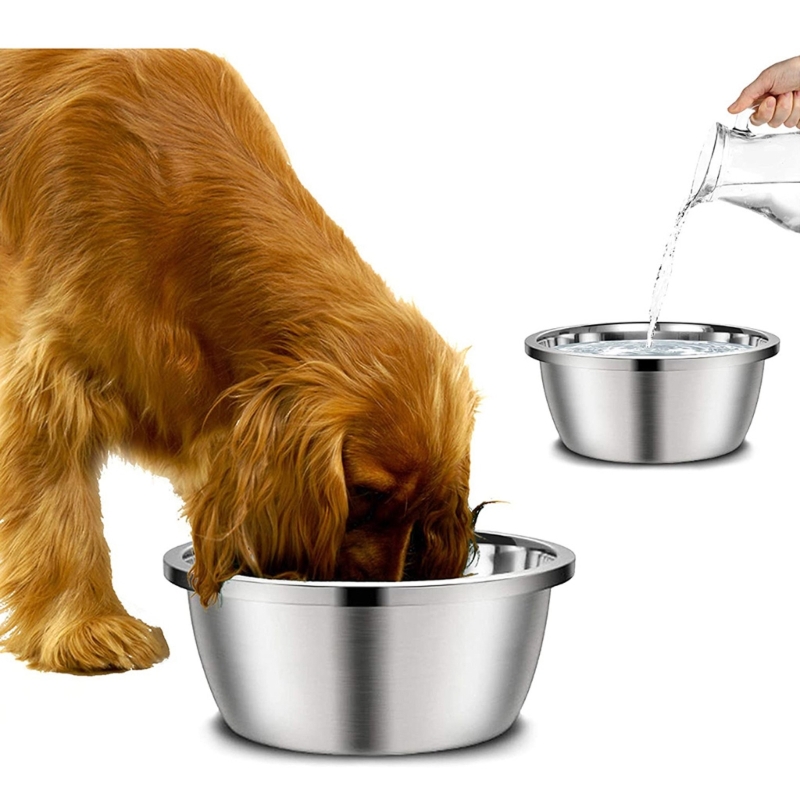 Royal Canin Food Medium - Mangiatoie per cani in acciaio inossidabile