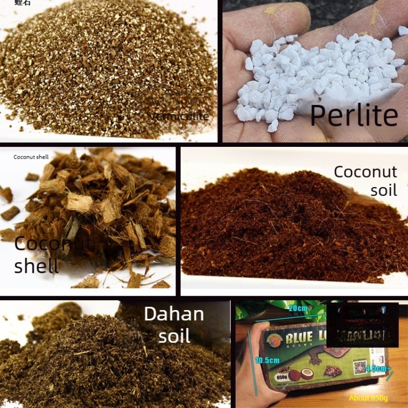 Substrate Coconut Fiber - Substrato per rettili in mattoni di