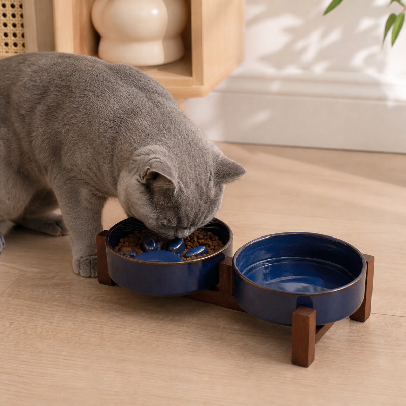 Ciotola per Gatti in Ceramica  - Royal Canin Food Medium recensione e prezzo