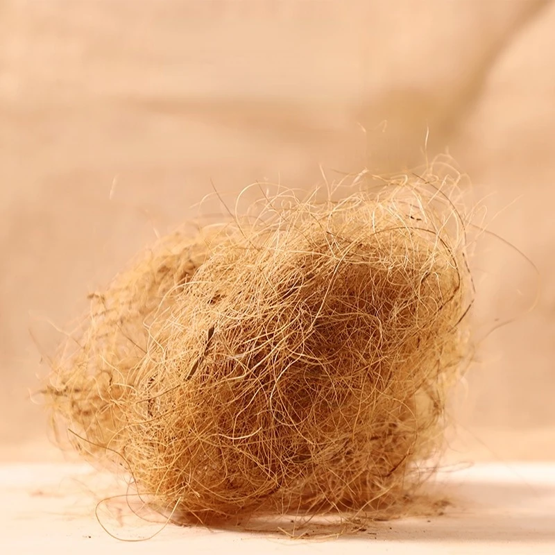 100g Substrato in Fibra di Coc - Substrate Coconut Fiber recensione e prezzo
