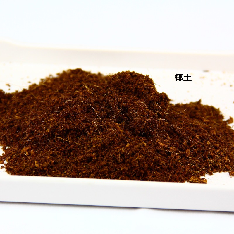 Substrato per rettili in matto - Substrate Coconut Fiber recensione e prezzo
