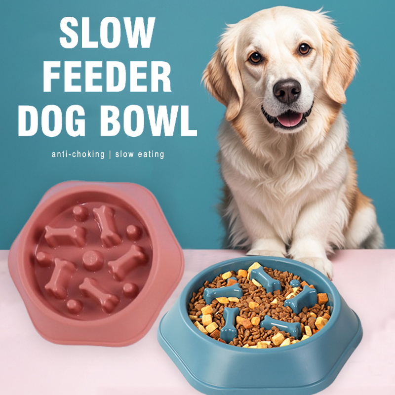 Ciotola per cani a lenta alime - Royal Canin Food Medium recensione e prezzo